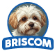 BRISCOM